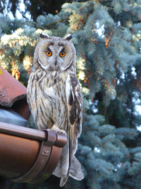 Avatar users/8a725543-d0e0-427a-bfce-bfbdb4c401c3/cbuYm9GDp8UzUr2f7r52Yks51iNj2ytMSdIwe7Ri.jpg