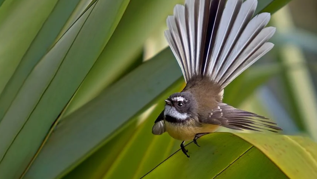 Natural Lor in Equity